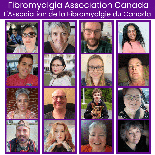 FACes of Fibro